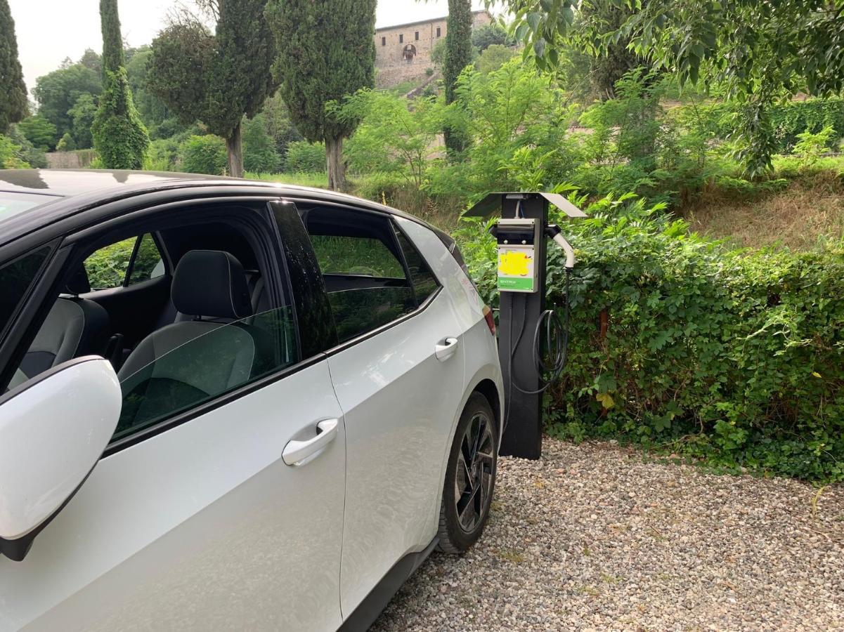 L'Isolo b&b e case vacanza Monzambano Esterno foto