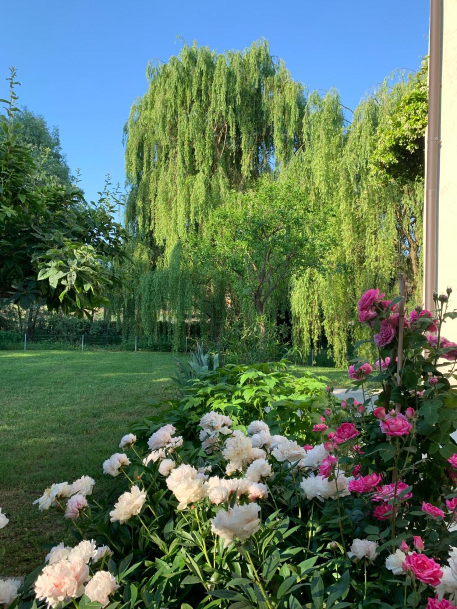 L'Isolo b&b e case vacanza Monzambano Esterno foto