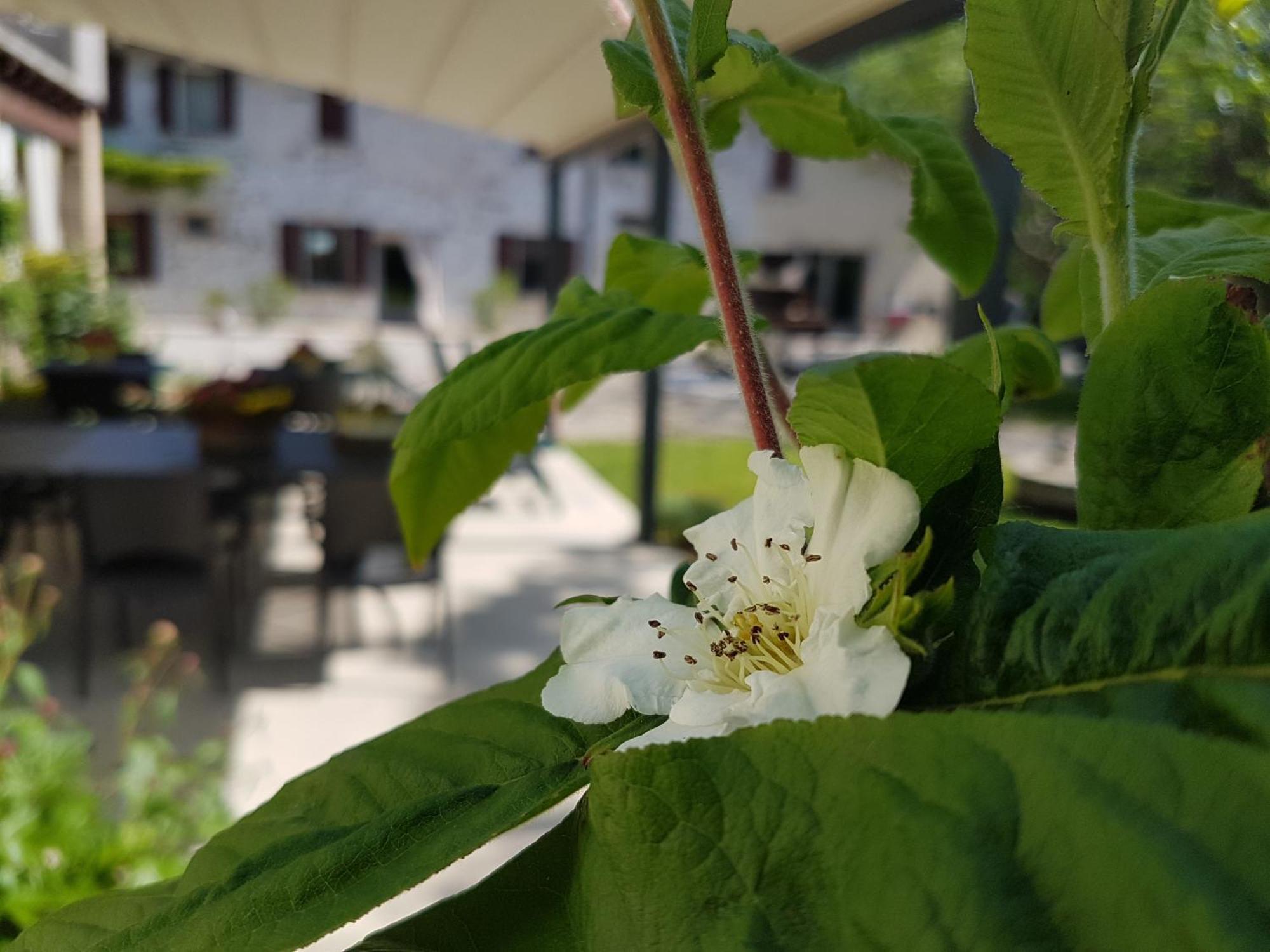 L'Isolo b&b e case vacanza Monzambano Esterno foto
